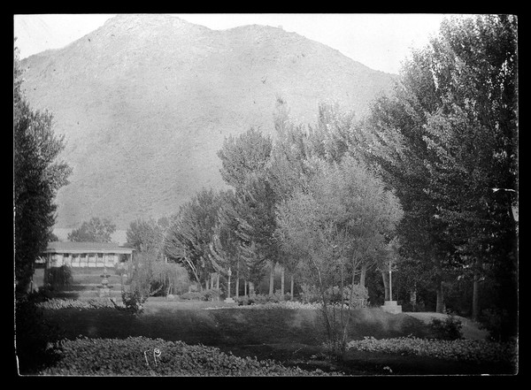 Bagh-e Babor on the western slope of mountain