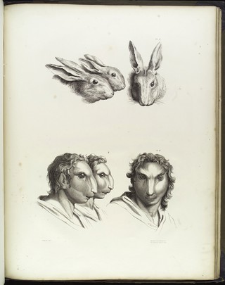 A series of lithographic drawings illustrative of the relation between the human physiognomy and that of the brute creation / From designs by Charles Le Brun: with remarks on the system. [Anon].