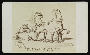 view A male and female frog courting, watched by a frog voyeur. Photograph by J.P. Soule, 1876, after a drawing by F(?). Lord.