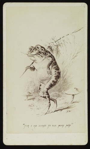 view A frog setting off to see his lady-friend. Photograph by J.P. Soule, ca. 1876, after a drawing.