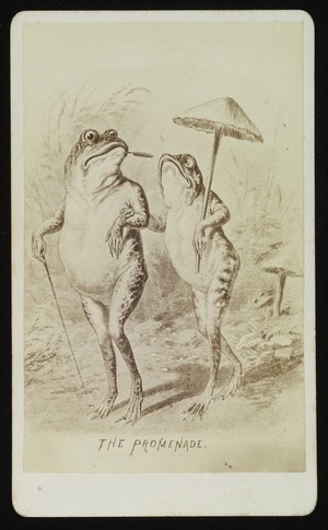 view A male and female frog promenading. Photograph by J.P. Soule, ca. 1876, after a drawing.