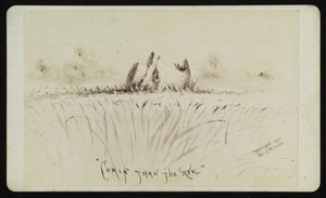 view A girl walking through a field of rye up to her neck. Photograph by J.P. Soule, 1875, after a drawing.