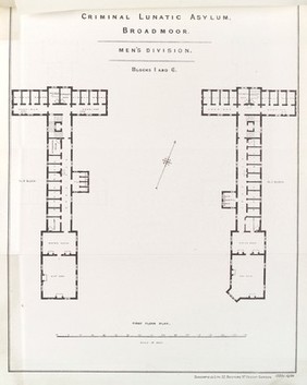 Reports upon Broadmoor Criminal Lunatic Asylum, with statistical tables, for the year 1885.