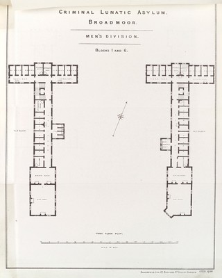 Reports upon Broadmoor Criminal Lunatic Asylum, with statistical tables, for the year 1885.