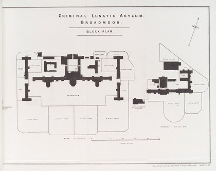 Reports upon Broadmoor Criminal Lunatic Asylum, with statistical tables, for the year 1885.