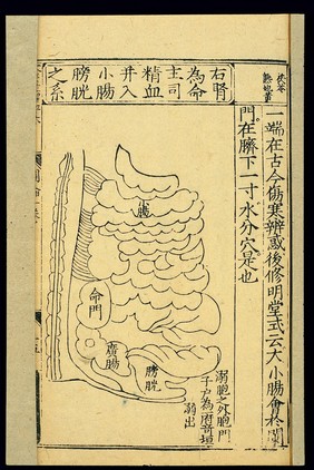 Position of 'Portal of Life' (right kidney), Chinese woodcut