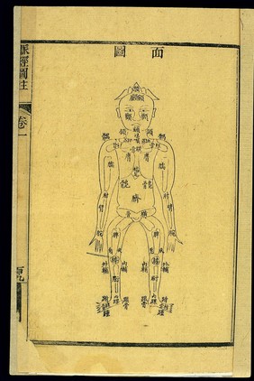 Somatometric chart: Bone lengths