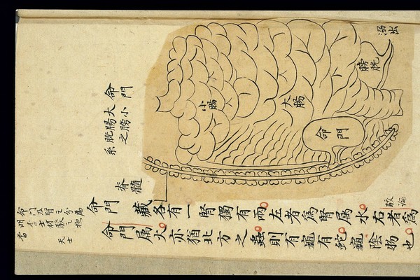 Internal visualisation chart: Location of mingmen