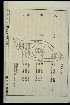 Chinese woodcut: Eye diagnosis -- the Eight Regions (ba kuo)