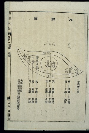 view Chinese woodcut: Eye diagnosis -- the Eight Regions (ba kuo)