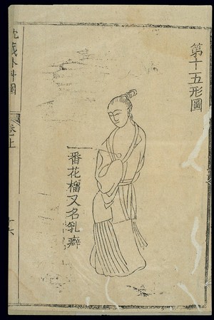 view Chinese woodcut: Breast tumour