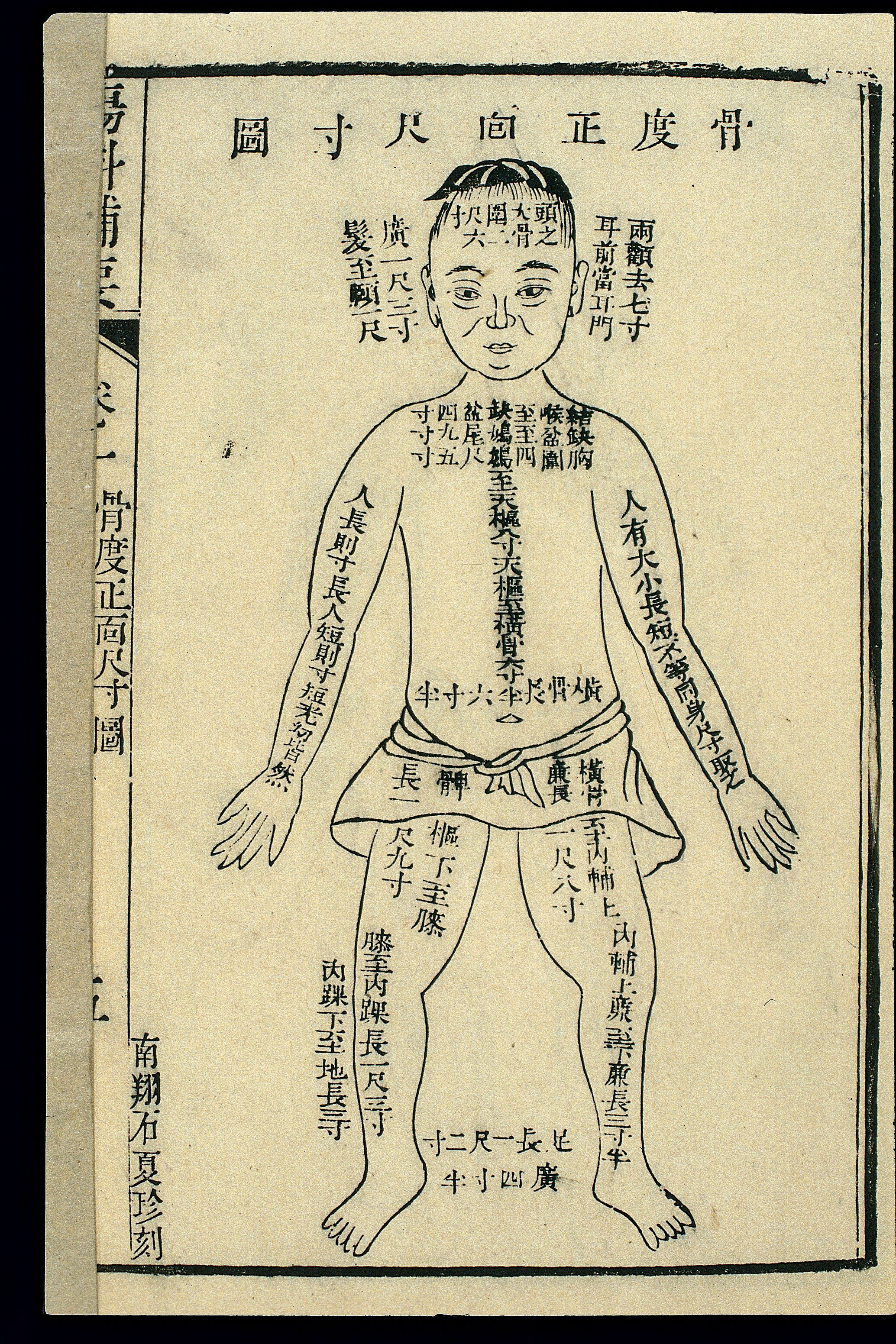 Chinese Woodcut Bone Measurements Front Of The Body Wellcome