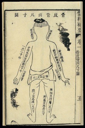 view Chinese woodcut: Bone measurements - back of the body