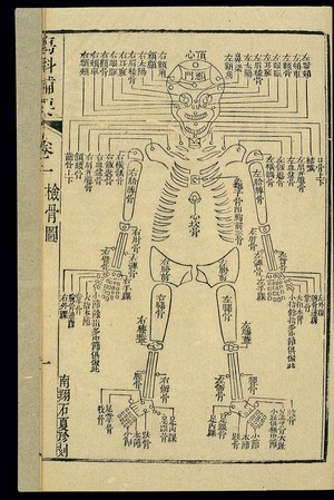 view Chinese C19 woodcut: Forensic chart of the skeleton (front)