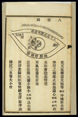 view Chinese woodcut: The eight regions (bakuo) of the eye