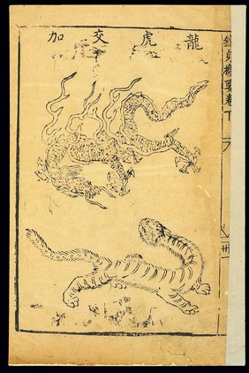 Daoyin exercises: The Intercourse of Dragon and Tiger, Pose 3