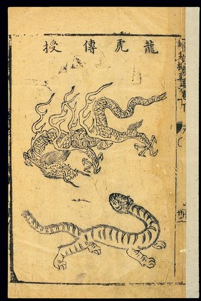 Daoyin exercises: The Intercourse of Dragon and Tiger, Pose 4