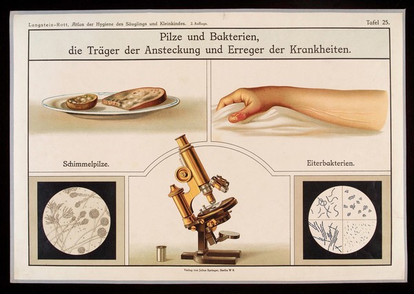 Dangers to the health of infants: germs and bacteria. Colour lithograph, 1922.