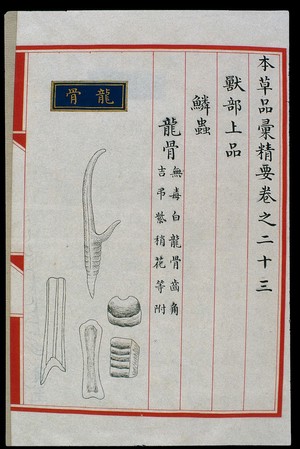 view Chinese Materia Medica illustration, Ming: Dragon bone