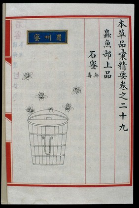 Chinese Materia Medica illustration, Ming: Sichuan honey