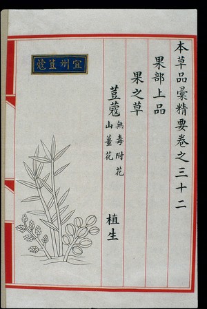 view Chinese Materia Medica illustration, Ming: Cardamom of Yizhou