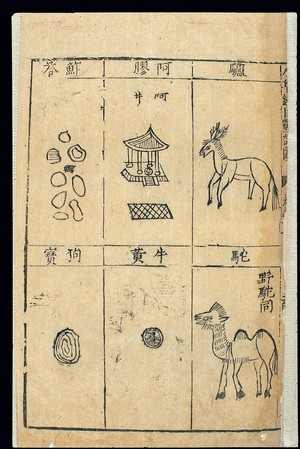 view Bencao Gangmu -- C.16 Chinese materia medica, Bezoars, etc.