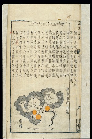 view Chinese Materia medica, C17: Plant drugs,
