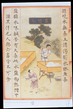 view Chinese Materia Dietetica, Ming: ' Salt gall' water
