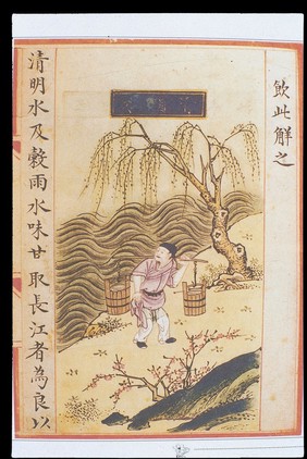 Chinese Materia Dietetica, Ming: Qingming water