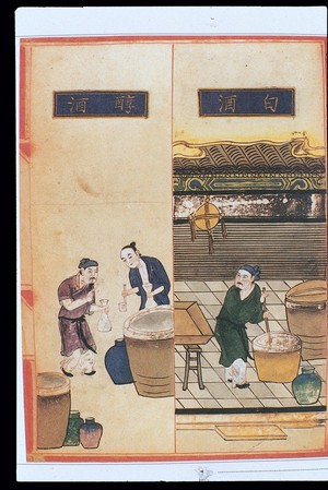 view Chinese Materia Dietetica, Ming: Alcoholic beverages