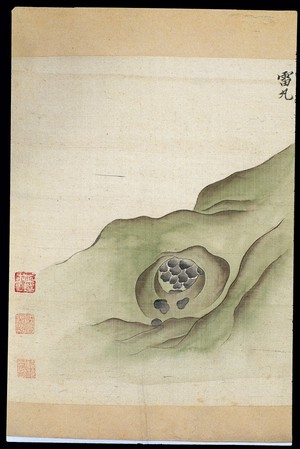 view Ming herbal (painting): Omphalia lapidescens Schroet.)