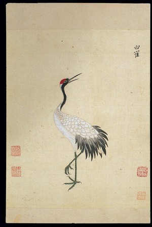 view Ming herbal (painting): Siberian white crane