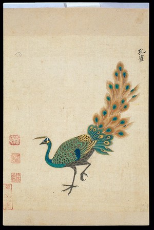 view Ming herbal (painting): Peacock