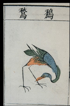 view Ming herbal (painting): Adjutant bird(?)