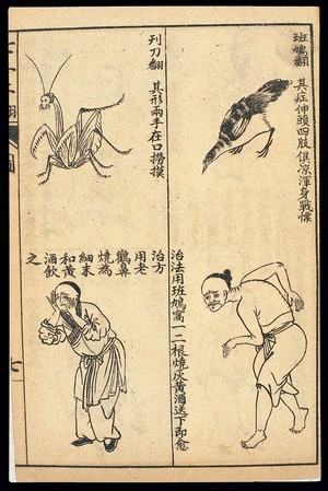 view Early C20 Chinese Lithograph: 'Fan' diseases