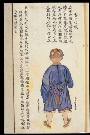 view C19 Chinese MS moxibustion point chart: Weizhong