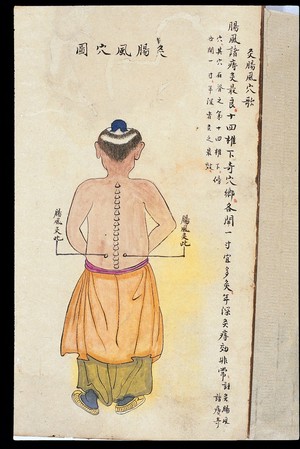 view C19 Chinese MS moxibustion point chart: Intestinal wind point