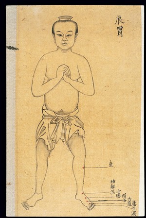 view Chinese MS acu-moxa point chart: Stomach