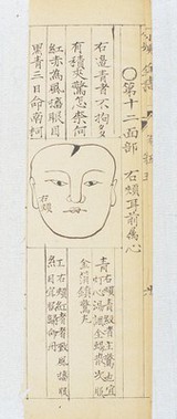 Qing Chinese paediatric face diagnosis chart