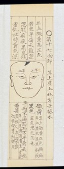 Qing Chinese paediatric face diagnosis chart