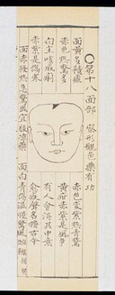 Qing Chinese paediatric face diagnosis chart