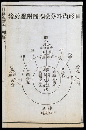 view C19 Chinese eye diagnosis chart showing Yin and Yang division