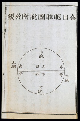 C19 Chinese eye diagnosis chart showing Yin and Yang division