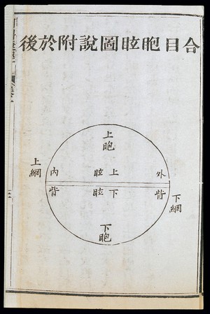 view C19 Chinese eye diagnosis chart showing Yin and Yang division