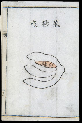 C18 Chinese woodcut: Upward-soaring throat (feiyang hou)