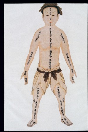 view Human bone measurements, front view, C17/18 Chinese book art