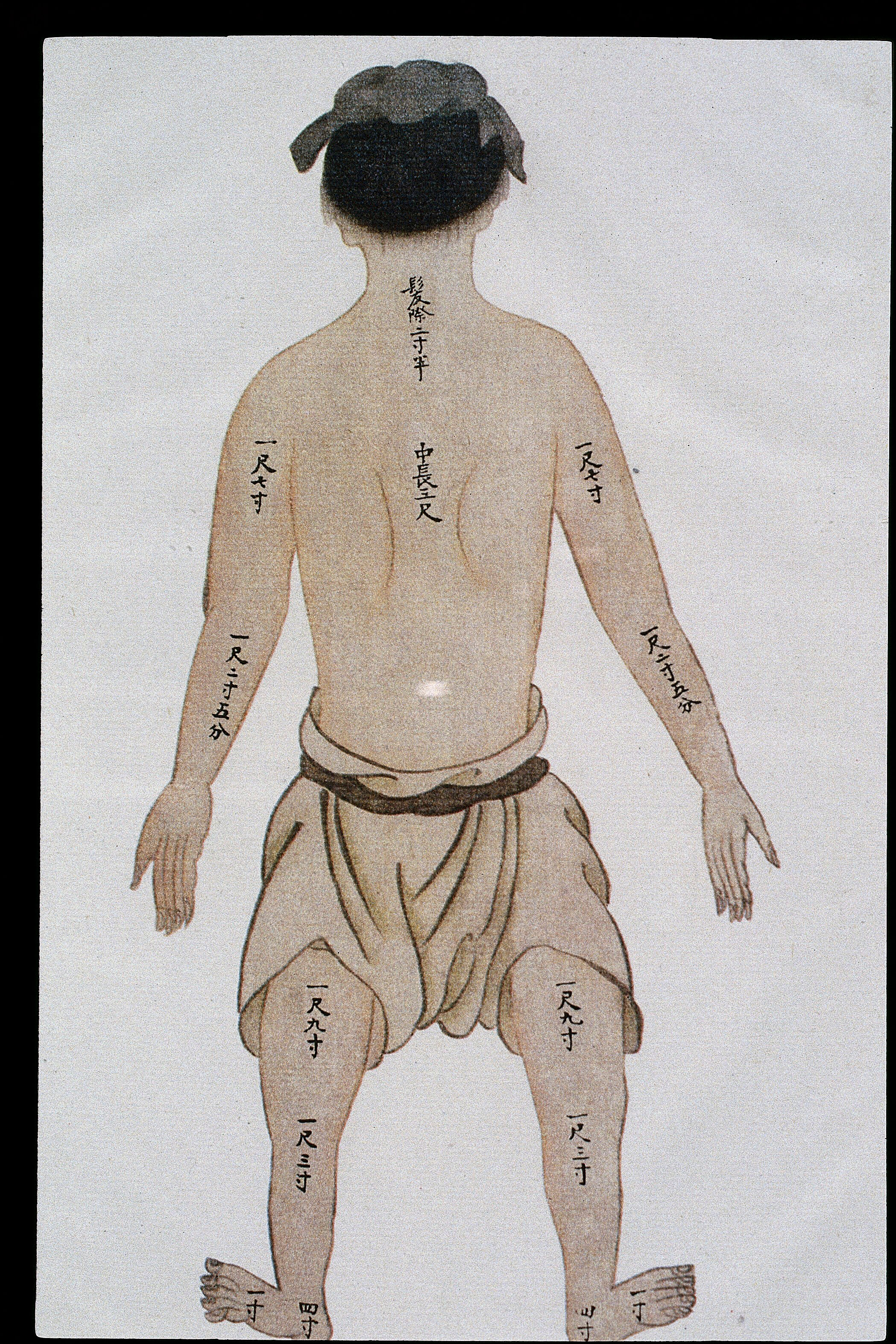 Human Bone Measurements Back View C17 18 Chinese Book Art