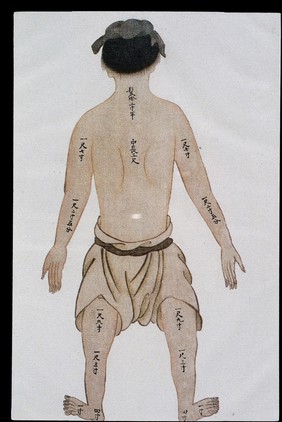 Human bone measurements, back view, C17/18 Chinese book art