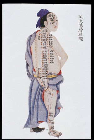 view Bladder channel of leg taiyang, C17/18 Chinese book art