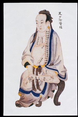 view Kidney channel of leg shaoyin, C17/18 Chinese book art